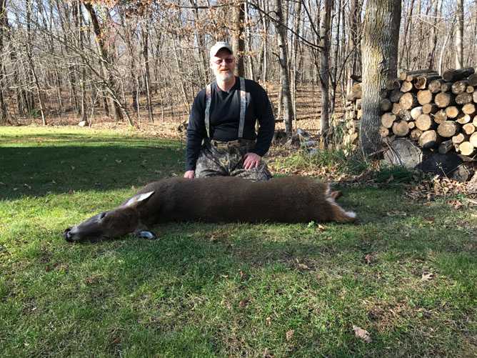 whitetail deer image