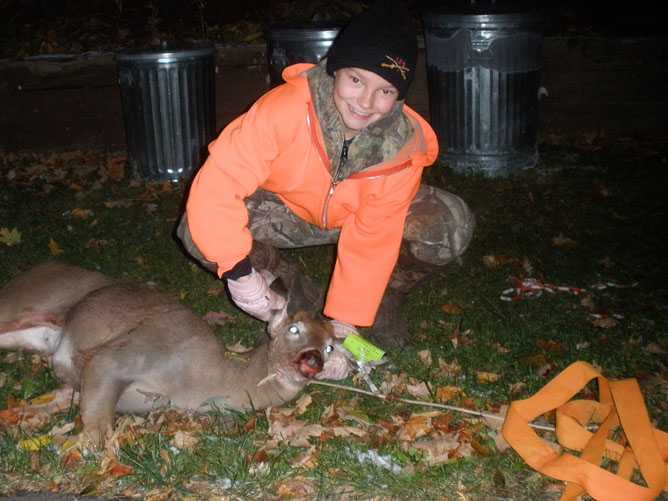 whitetail deer image