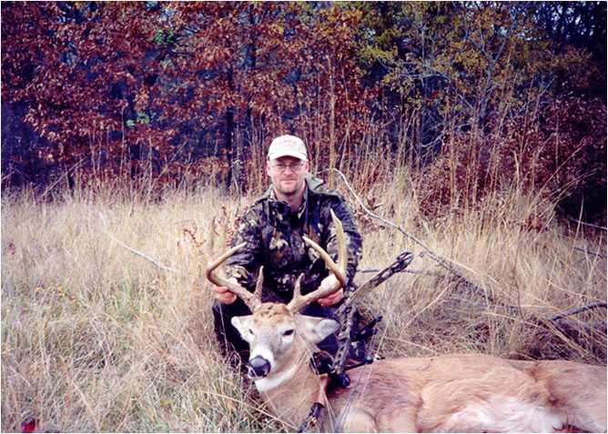 whitetail deer image